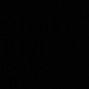 Meet your Posher, Ella